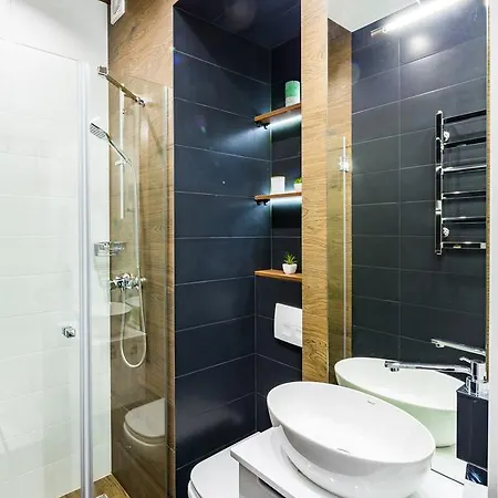 Brand New In Historical Part Lviv